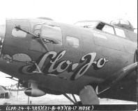 42-30168Slo-Jo