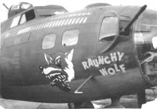 42-30249-Raunchy-Wolf