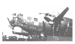 42-31335-Honky-Tonk-Sal-1
