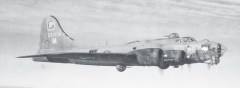 42-31378-Rum-Dum-41