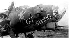 42-31917-Off-Spring