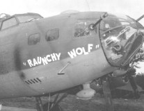 42-3290-Raunchy-Wolf