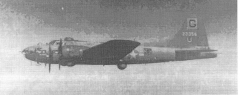42-3356-Mayfly