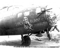 42-3551-Shack-Bunny