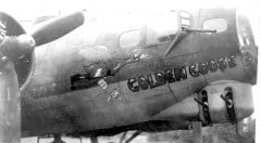 42-38049-The-Golden-Goose