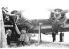 42-38160-Lonesome-Polecat-1