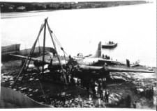 42-38160-Lonesome-Polecat-3