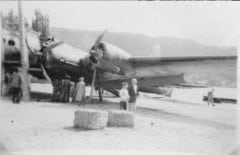 42-38160-Lonesome-Polecat-5