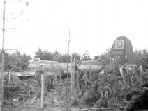 42-39912-Sky-Chief-2