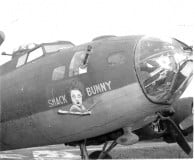 42-5913-Shack-Bunny