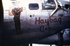 42-97280-Haybag-Annie-col-noseart
