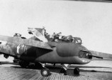 42-30278-sly-fox-africa-accident