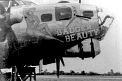 43-38259-Badger-Beauty-nose