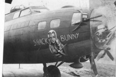 42-30819: Shack Bunny